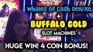 BIG WIN on Buffalo GOLD Slot Machine! Sometimes Line hits can be bigger than a 4 Coin BONUS! WOW!