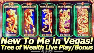 Tree of Wealth Slot Machine - New To Me at Red Rock Casino in Las Vegas, Live Play and Free Games!
