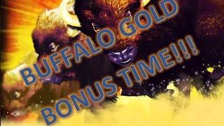 •BONUS TIME• BUFFALO GOLD (Aristocrat) Slot Machine Bonus