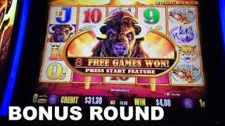 BUFFALO GOLD Live Play Max Bet with BONUS round WORSE BONUS EVER on a Slot Machine