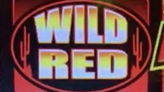 Quick Hit Wild Red •LIVE PLAY MAX BET• Slot Machine in Las Vegas!