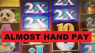•ALMOST HAND PAY !! •Panda Palace Slot machine (IGT) HUGE LINE HIT• MAX BET ($2.50)
