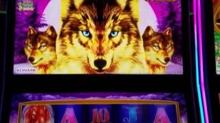 Golden Wolves Slot Machine Bonuse !! Live Play and Free Spins in New Konami $3 Bet