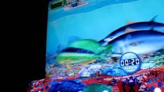 Aruze Paradise Fishing Slot Machine