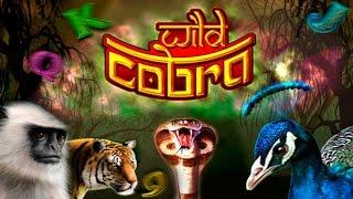 Wild Cobra - BIG WIN - Merkur Slot - 10€ BET!