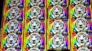 BIG WIN BONUS - Gold Stacks 88 Tiger Reign Slot Machine