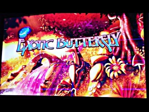 (First Attempt) WMS - Exotic Butterfly: Live Play , 2 Bonuses