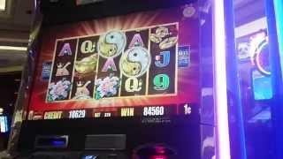 5 Frogs Slot Machine - Nice Gambling Bonus Win in the Casino