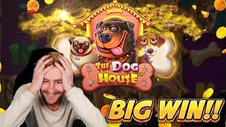 BIG WIN! DOG HOUSE BIG WIN - CASINO Slot from CasinoDaddys LIVE STREAM (OLD WIN)