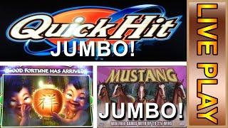 JUMBO SIZED! Quick Hit Jumbo / Mustang Jumbo / and lil Fu Dao Le Babies!