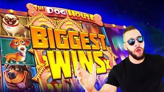 New Record in The Dog House slot | Top 5 Biggest Wins in Casino