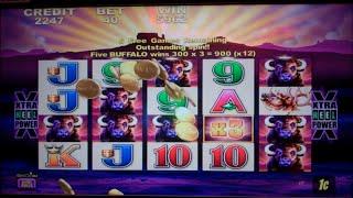 Buffalo Slot Machine Bonus - 8 Free Spins - HUGE WIN (#6)