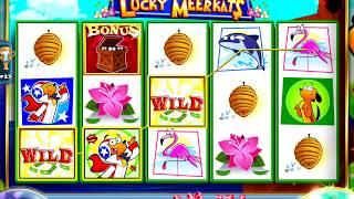 LUCKY MEERKATS Video Slot Casino Game with a "BIG WIN" BONUS