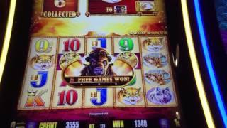 BUFFALO GOLD ~ Slot Machine Pokie Bonus ~ San Manuel