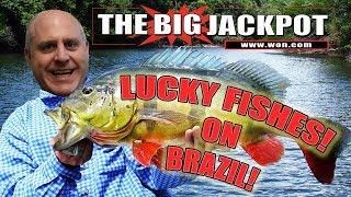 • LUCKY FISHES • BRAZIL WIN$ with The Big Jackpot • TheBigJackpot