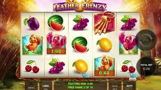 Feather Frenzy Slot by Novomatic
