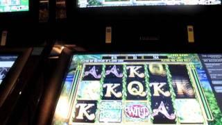 $1 Secrets Of The Forrest Slot-Big Win!- Hand Pay At Cosmopolitan