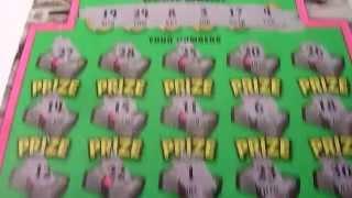 $10 Cash Spectacular Scratchcard - Illinois Instant Lottery Ticket