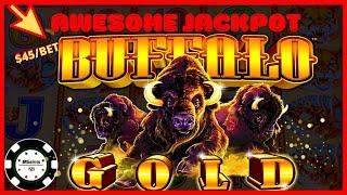•️HIGH LIMIT Buffalo Gold HANDPAY JACKPOT •️$45 SPIN BONUS .25 Cent Denomination Slot Machine Casino