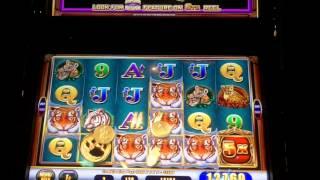 WMS Awesome Reels - Tiger's Realm II Slot Line Hit