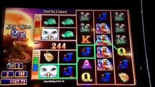 Great Owl Slot Machine Bonus New York Casino Las Vegas