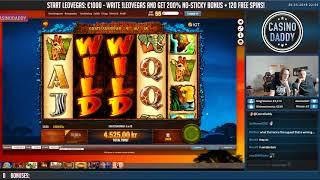 BIG WIN!!! Wild Life BIG WIN - Online Slots - Casino (gambling)