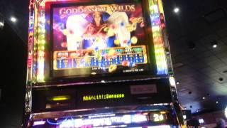 Goddess of wilds 2c Line hit (Konami Glinda)