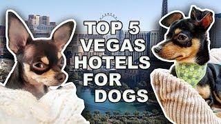 Top 5 Las Vegas Hotels for Dog Owners - Dog Butler Included!