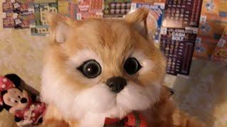 Kitty ★ Slots ★ mmmmmmMMM..says ★ Slots ★