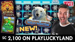 ⋆ Slots ⋆ LIVE - SC 2,100 on NEW SLOT ⋆ Slots ⋆ WILD WINTER on PlayLuckyland Casino