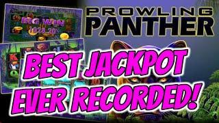 THE GREATEST PROWLING PANTHER JACKPOT EVER CAUGHT ON CAMERA!