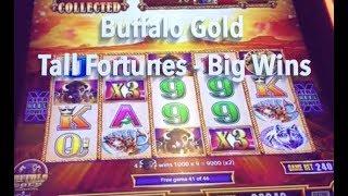 Big Wins on Buffalo Gold Tall Fortunes Slot Machine