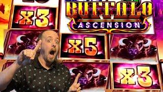 BUFFALO ASCENSION Massive Win! 3x5x3x wilds land during Free Spins! So Many ReTriggers!