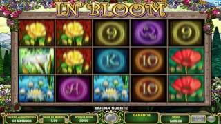 Free In Bloom Slot by IGT Video Preview | HEX