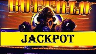 Jackpot• Buffalo Slot Machine Max Bet $4  (Handpay)