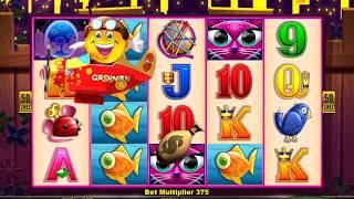MISS KITTY GOLD Video Slot Casino Game with a MR CASHMAN MONEY DROP BONUS