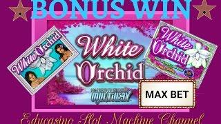 •MAX BET•WHITE ORCHID•BONUS | BY IGT