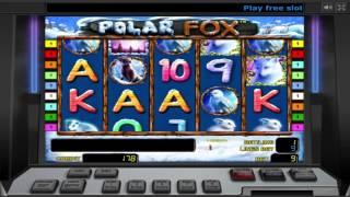 Polar Fox ™ Free Slots Machine Game Preview By Slotozilla.com