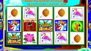 LUCKY MEERKATS Video Slot Game with a MEERKAT BONUS