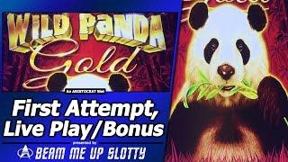Wild Panda Gold Slot - First Attempt, Live Play and Free Spins Bonus