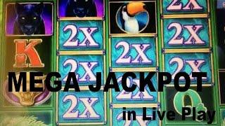 •MEGA ! Super Jackpot in Live Play!! Impressive win ! •Prowling Panther Slot • Live play•$5.00 Bet
