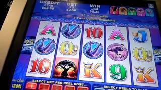 Crown Casino Pokie Games Episode 127 $$ Casino Adventures $$ pokie slot win