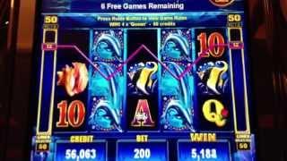 50 Dolphins-Ainsworth Slot Machine Bonus