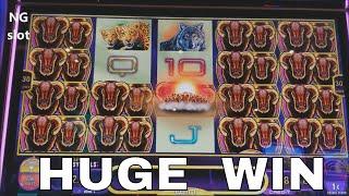 •SUPER BIG WIN•NEW SLOT  MIDNIGHT STAMPEDE Slot Machine Bonus Won and Big Win Line Hit! Live Play