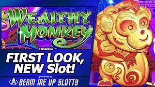 Wealthy Monkey Slot - First Look, Live Play w/Line Hits and Free Spins Bonuses