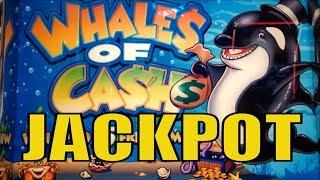 •JACKPOT ! Whales of Cash Slot•Fantastical Old Aristocrat•Black Panther/Seal the Deal/Wild Stallion•