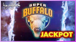 SHOCKING JACKPOT HANDPAY! Super Buffalo Slot - LOVED IT!!