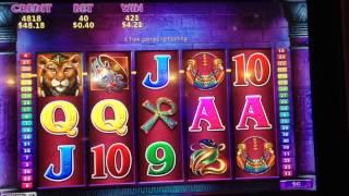 Lioness Bonus On 40 Cent Bet