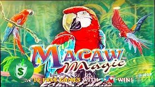 Macaw Magic slot machine, bonus