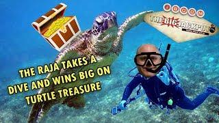 • The Raja Takes a Dive & Wins BIG on Turtle Treasure •